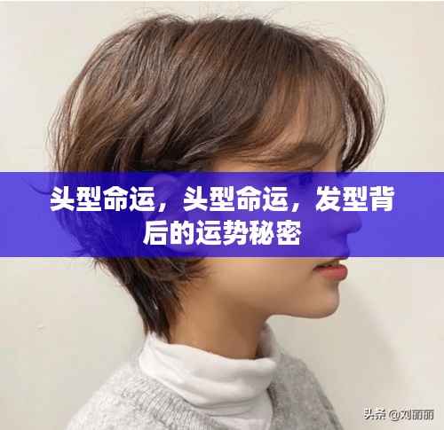 发型背后的运势秘密,头型与命运的关联探索