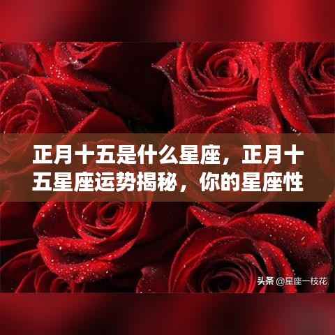 正月十五星座运势大揭秘,星座性格如何塑造你的未来?