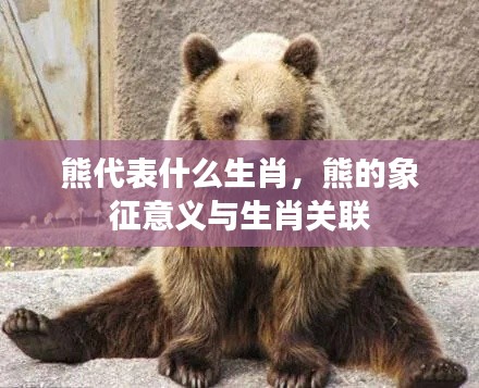 熊代表生肖之谜,象征意义与生肖的紧密关联