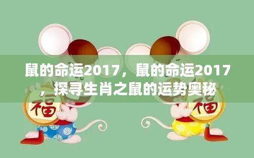 探寻生肖鼠在2017年的运势奥秘,命运展望与运势探寻