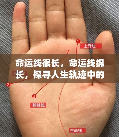 探寻命运线绵长的人生轨迹深远影响