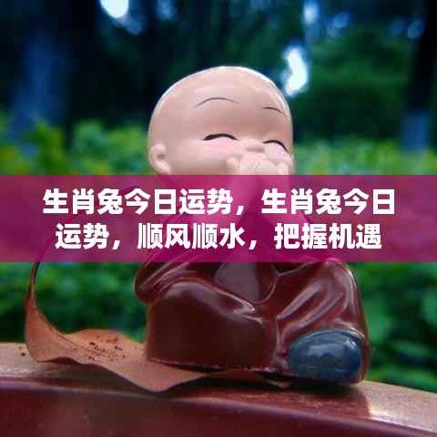 生肖兔今日运势大解析,顺风顺水,机遇把握之道