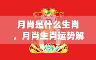 探寻月肖生肖的神秘联系,运势解析与生肖与月亮的关联