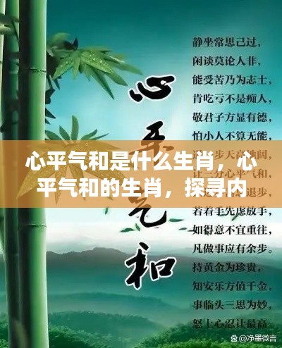 探索生肖奥秘,寻找心平气和的生肖