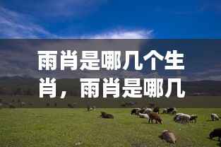 雨肖揭秘,哪些生肖与雨天有神秘联系?解读生肖与天气的奥秘。