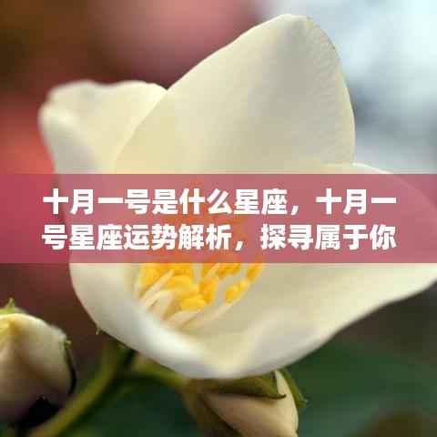 十月一日星座运势解析，探寻属于你的星座之光