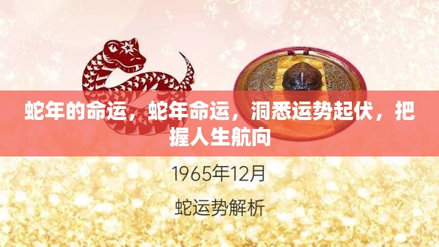 蛇年运势揭秘,洞悉命运起伏,把握人生航向的秘诀