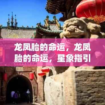 龙凤胎的独特人生,星象指引下的命运之旅