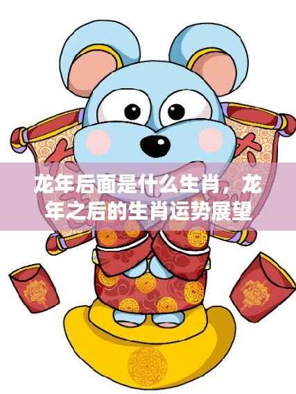 龙年后生肖运势展望,揭秘下一个生肖的运势与特点