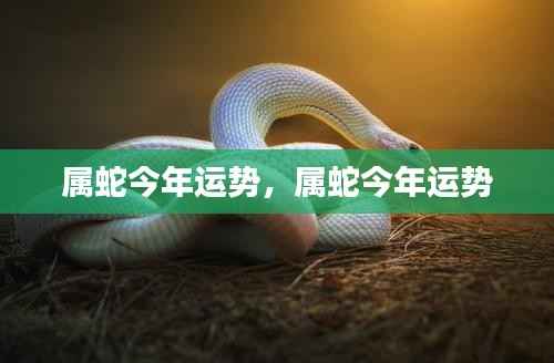 属蛇今年的运势展望