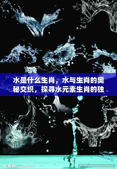 水元素生肖的神秘魅力,探寻生肖与水的奥秘交织