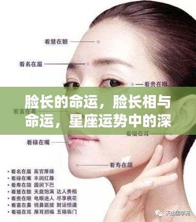 星座运势揭秘,脸型与命运之间的深层联系解读