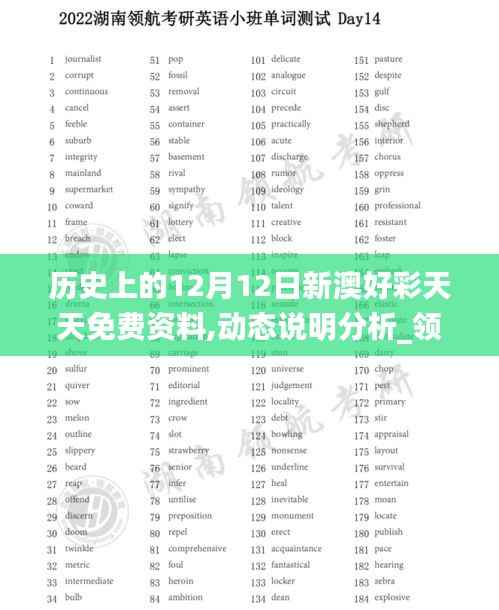 历史上的12月12日新澳好彩天天免费资料,动态说明分析_领航版1.506