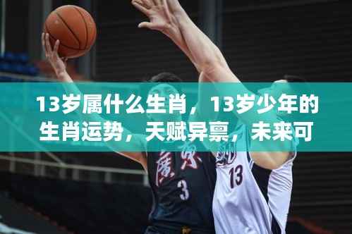 13岁少年的生肖运势与天赋异禀,未来展望