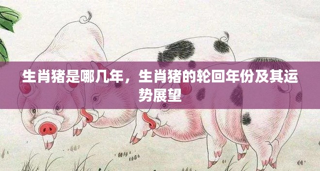 生肖猪的轮回年份及运势展望,猪年运势解析与生肖猪的轮回周期揭秘