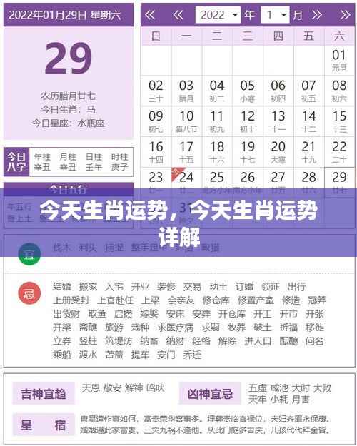 今日生肖运势详解,全方位解析你的生肖运势!