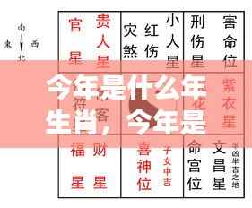 今年生肖运势解析，运势走向及生肖年份解读