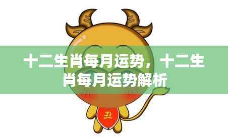 十二生肖每月运势详解与解析