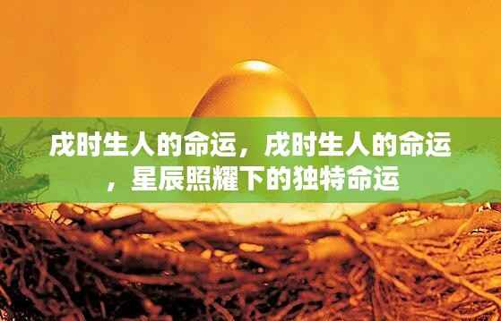 戌时生人的独特命运，星辰照耀下的命运轨迹