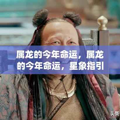 属龙人的命运揭秘,星象指引下的今年人生轨迹