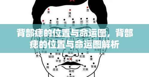 漫天飞舞 第6页