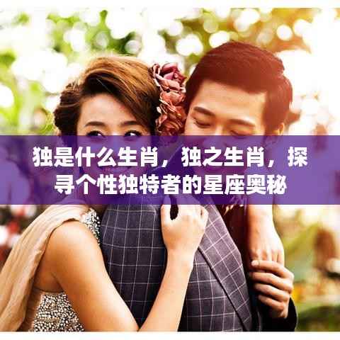 揭秘生肖之谜,独特个性者的星座奥秘与生肖之独探索