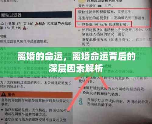离婚命运揭秘，深层因素解析与探讨