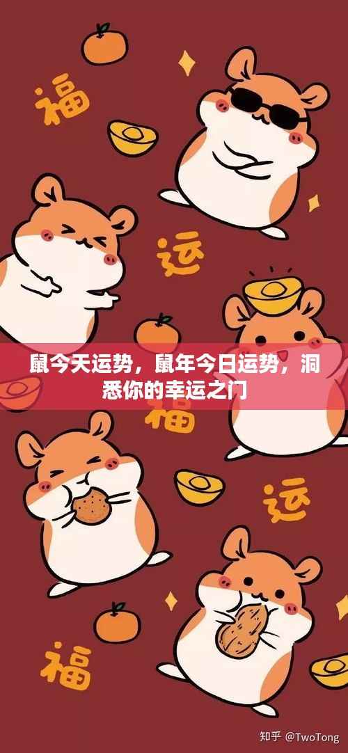 鼠年今日运势揭秘,开启你的幸运之门