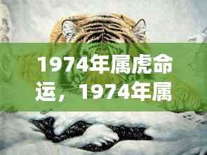 1974年属虎人的命运解析与人生轨迹展望