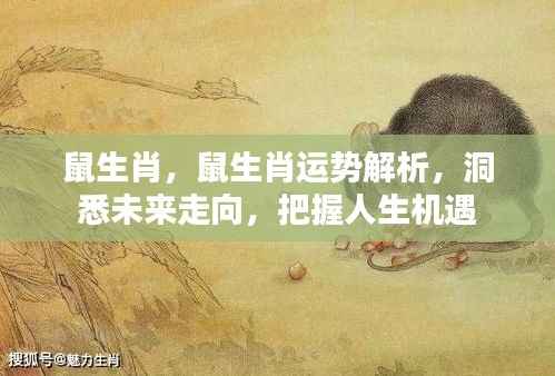 鼠生肖运势解析,洞悉未来,把握人生机遇之道