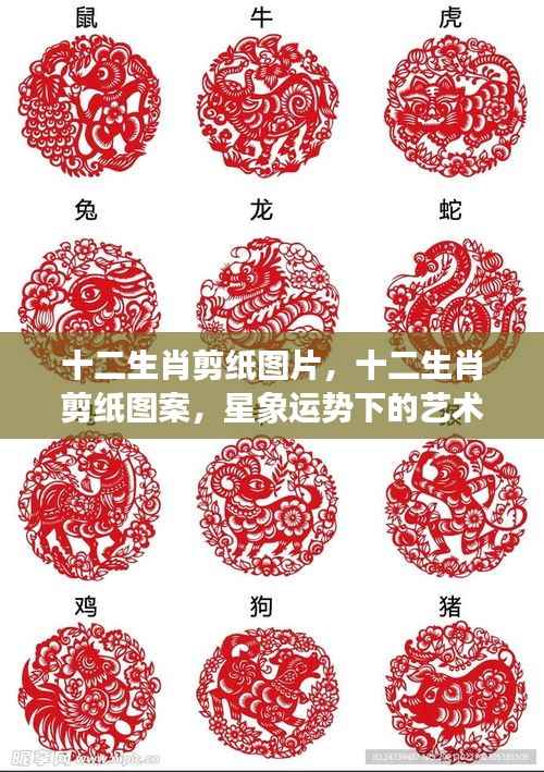 星象运势下的艺术魅力,十二生肖剪纸图片与图案赏析