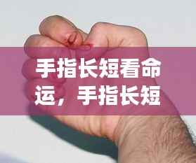 手指长短揭示命运之谜，微观之手相探秘之旅