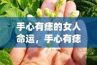 手心痣相与女性命运,微妙联系探寻人生轨迹