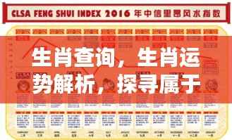 生肖运势解析,探寻个人命运轨迹与生肖关系