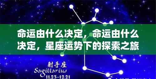 探索之旅,命运由何决定,星座运势下的命运轨迹