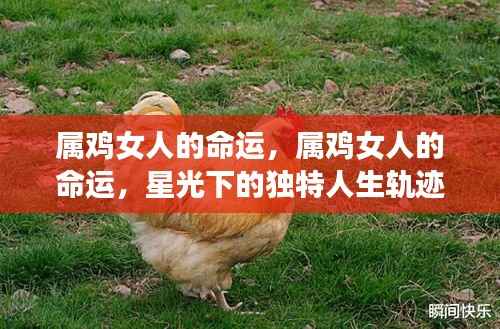 属鸡女人的命运,星光下的独特人生轨迹探索