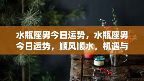 水瓶座男今日运势详解，机遇与挑战并存，顺风顺水展现个人魅力