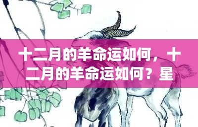 十二月的羊星座运势揭秘，命运如何？揭秘羊儿的未来走向