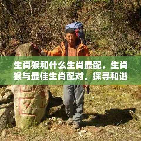 生肖猴的最佳生肖配对,探寻和谐共生的奥秘