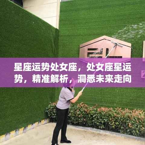 处女座星座运势精准解析,洞悉未来,掌握运势走向