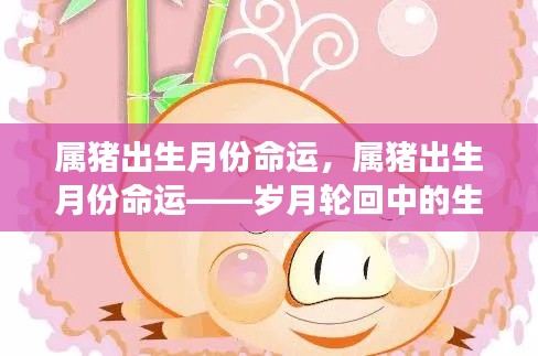 岁月轮回下的生肖猪，出生月份与命运交织的奥秘
