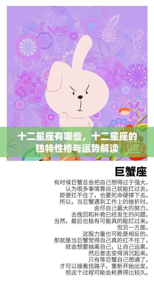 十二星座性格与运势深度解读,探索星座独特魅力与秘密运势预测