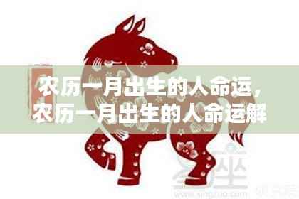 农历一月出生的人命运详解与解析