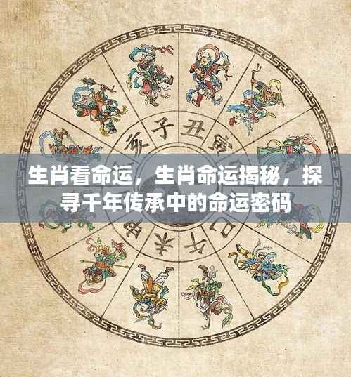 生肖命运揭秘,探寻千年传承中的命运密码,揭示生肖与命运的神秘联系