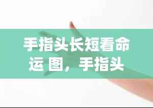 揭秘手相图之谜,手指长短与命运关联探究