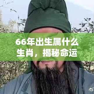 揭秘命运之轮,1966年出生者的生肖运势解析与生肖属性揭晓