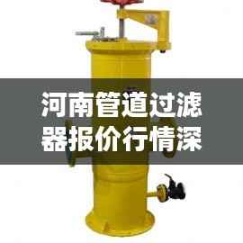 河南管道过滤器报价行情深度解析