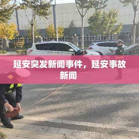 心旷神怡 第5页