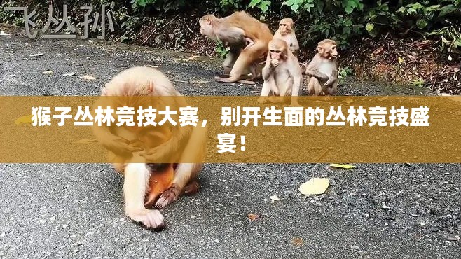 猴子丛林竞技大赛,别开生面的丛林竞技盛宴!