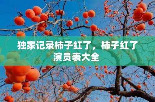 独家记录柿子红了,柿子红了演员表大全